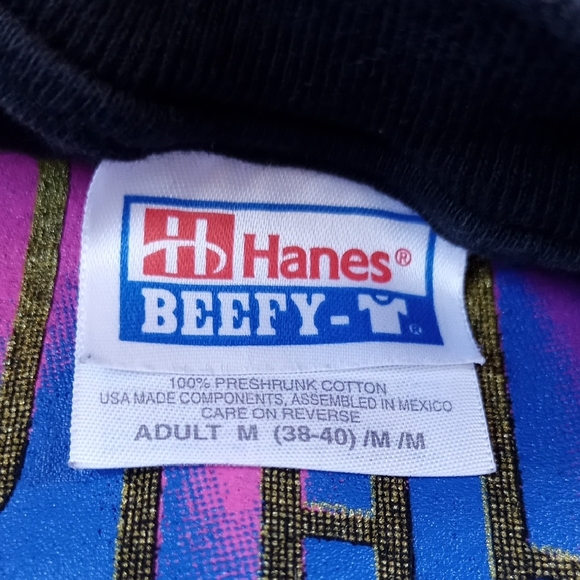 Vintage 90s Toronto Chapter Northern Lights T-Shirt BEEFY T - Picture 2 of 5